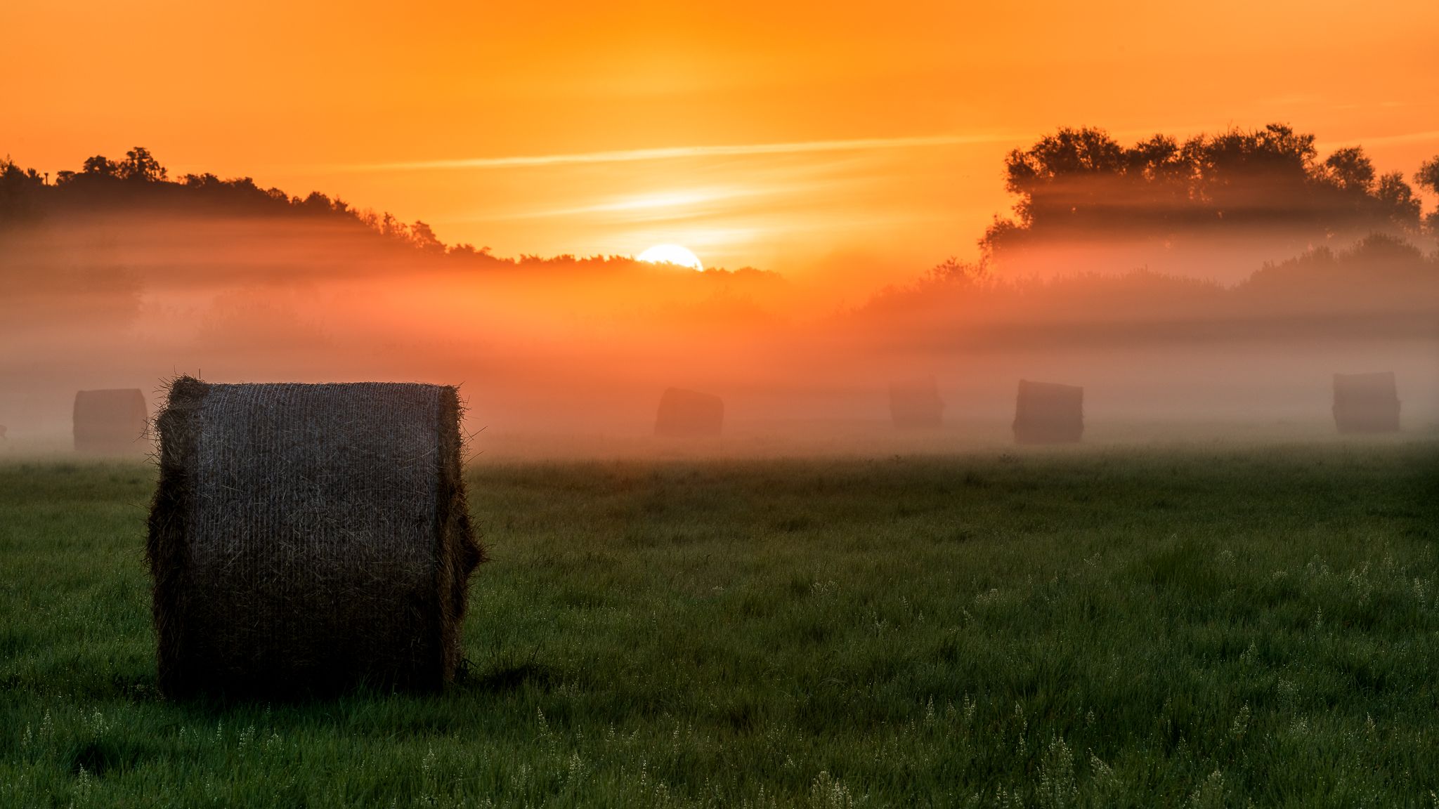 Lower Oder Valley National Park near Alt-Galow, Germany