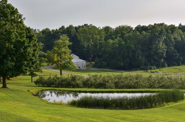 Mapleside Farms