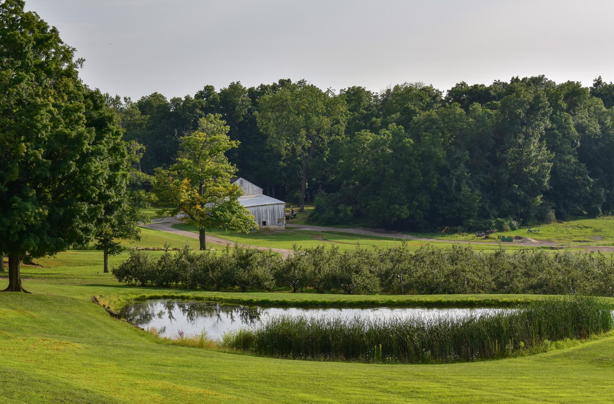Mapleside Farms, USA