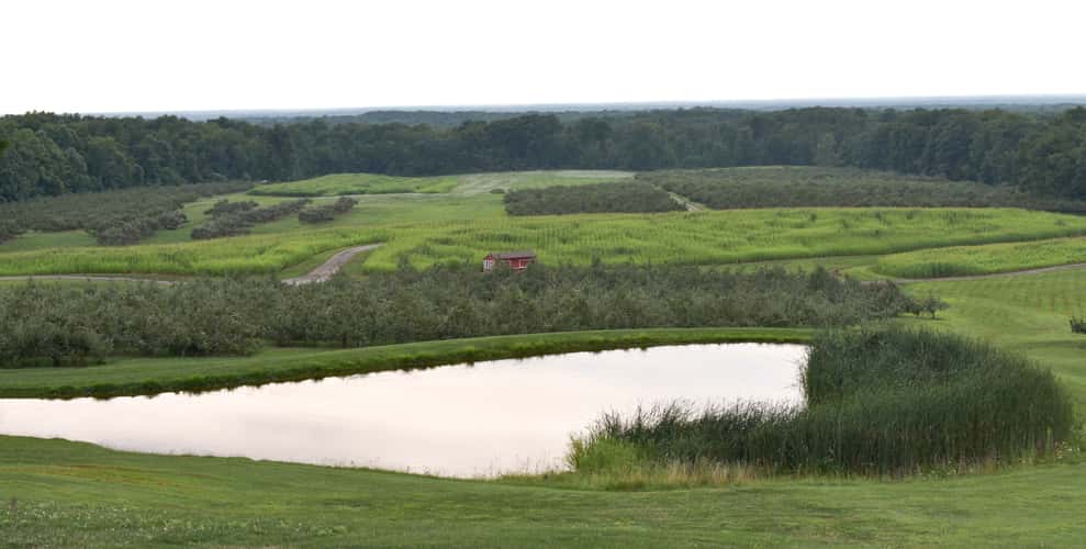 Mapleside Farms