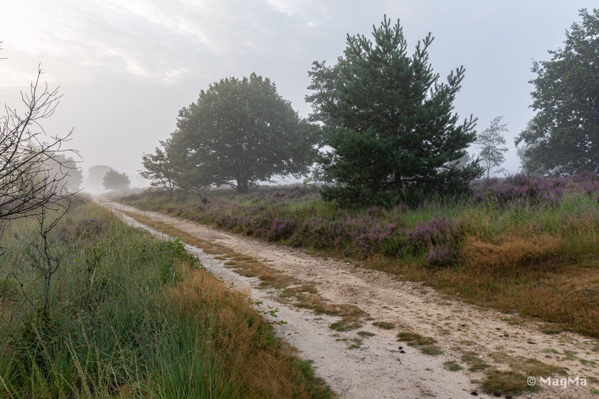 Mechelse Heide, Belgium
