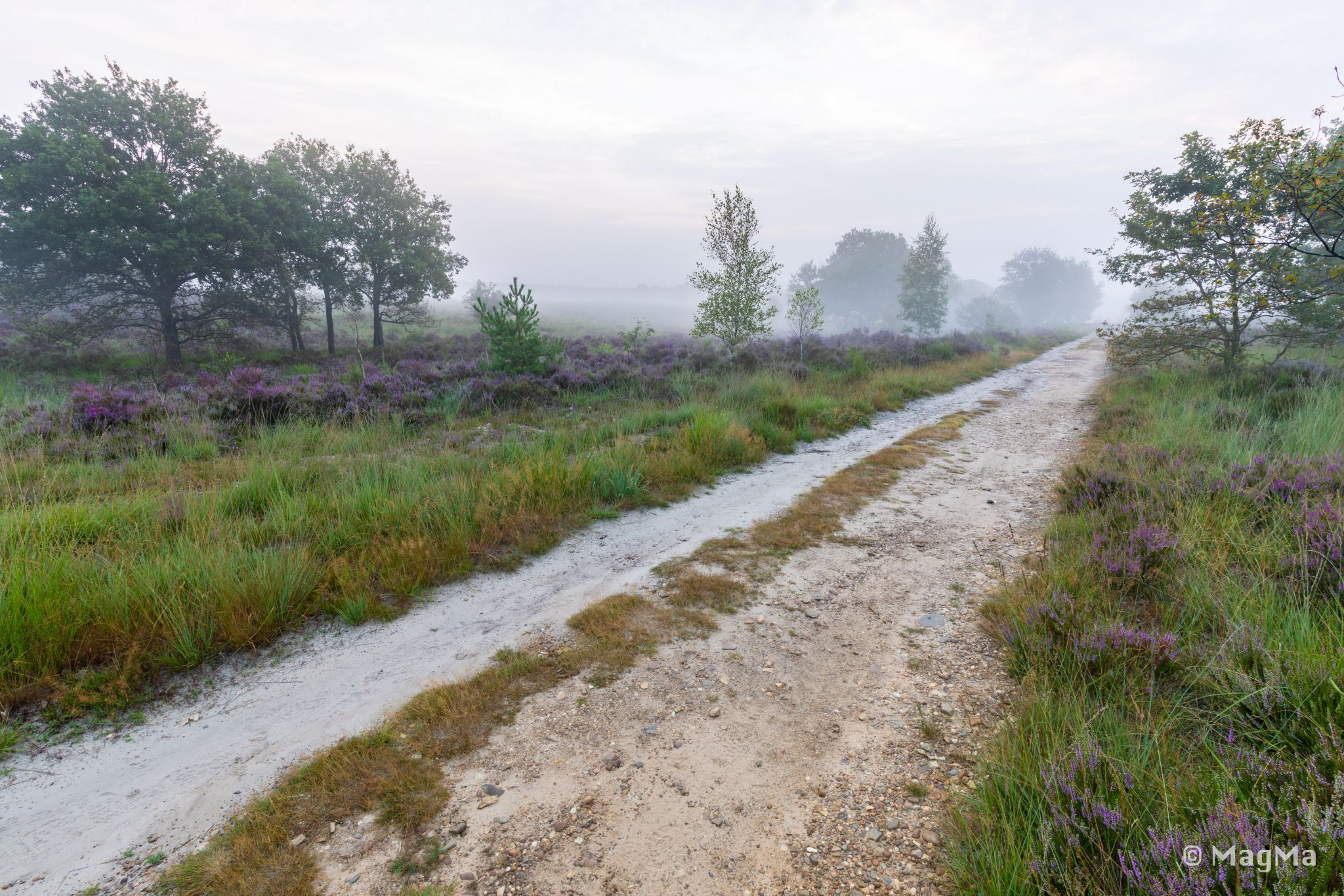 Mechelse Heide, Belgium