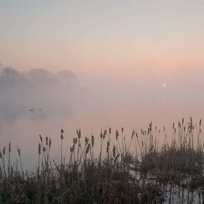 Misty sunrise in nature reserve Bourgoyen, Belgium