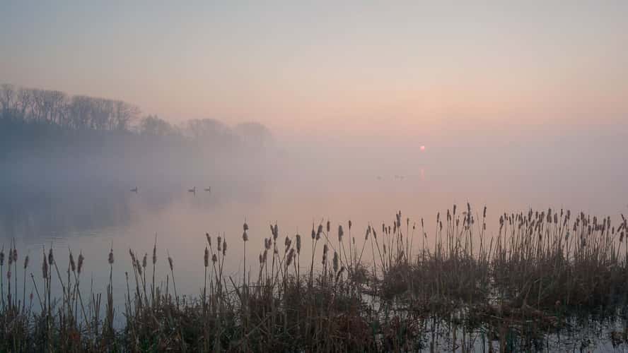 Misty sunrise in nature reserve Bourgoyen
