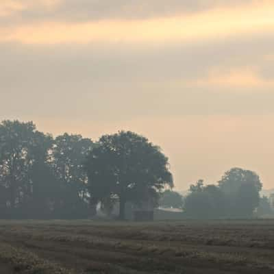 Morning mist, Germany