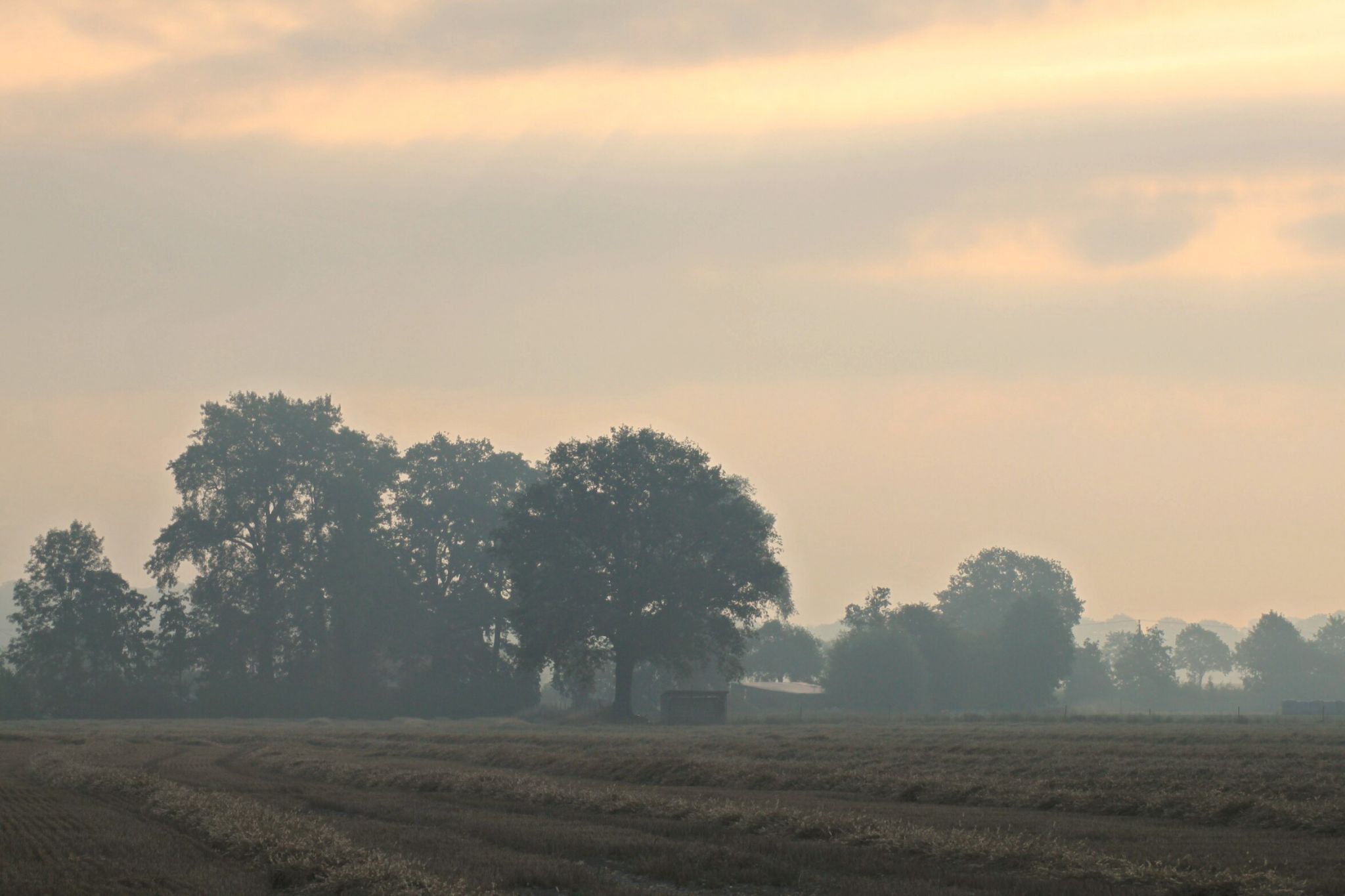 Morning mist, Germany
