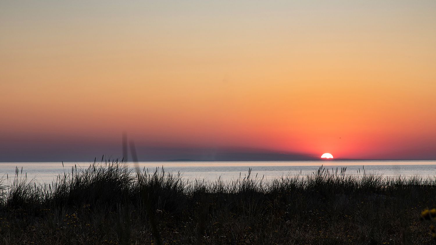 Morning on the Baltic Sea coast near Zingst, Germany