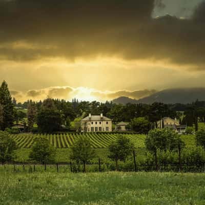 Napa Valley, California, USA