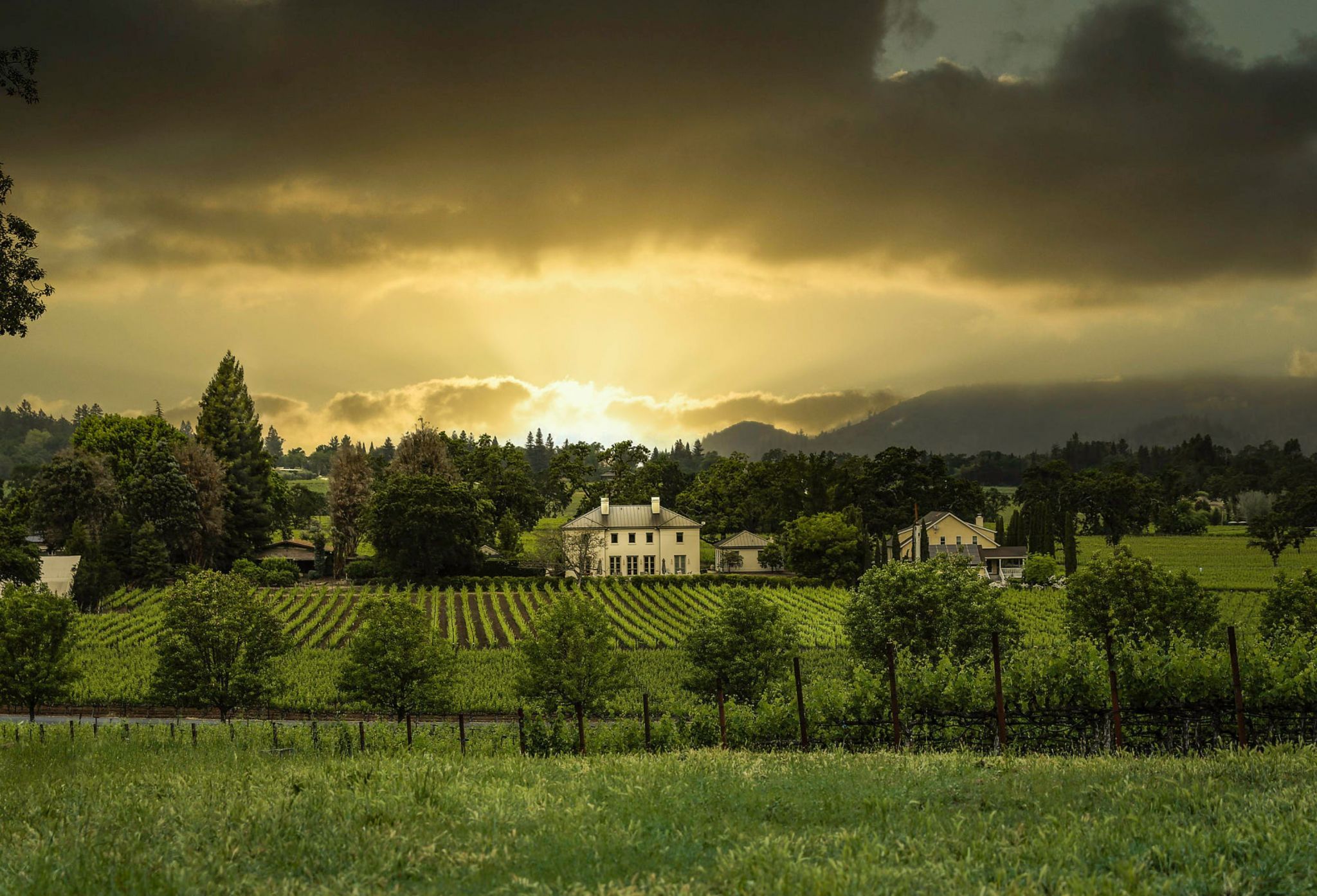 Napa Valley, California, USA