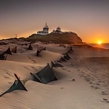 Nobbys Lighthouse dunes, Newcastle New South Wales, Australia