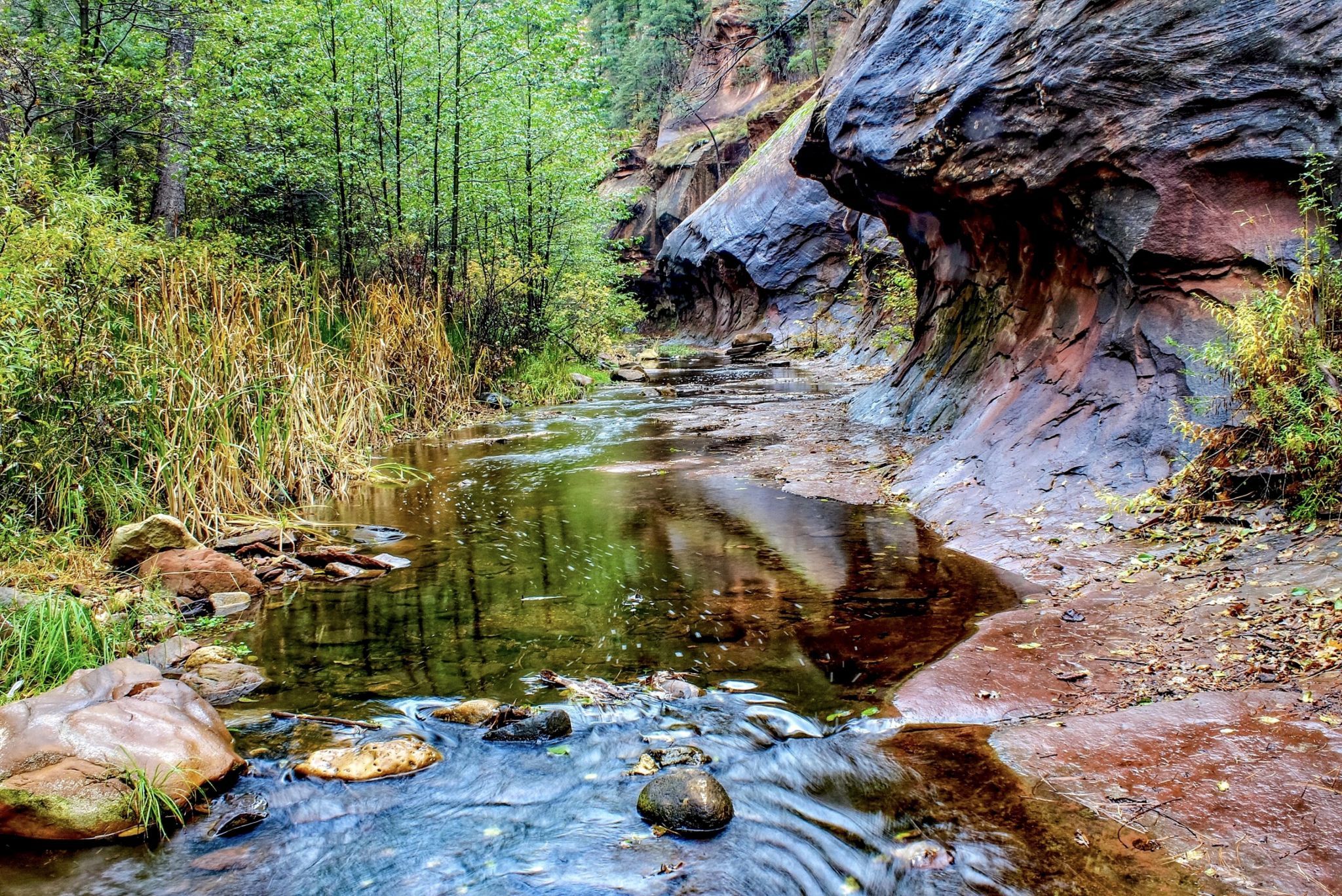 Oak Creek Canyon, USA