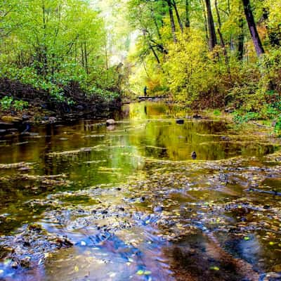 Oak Creek Canyon, USA