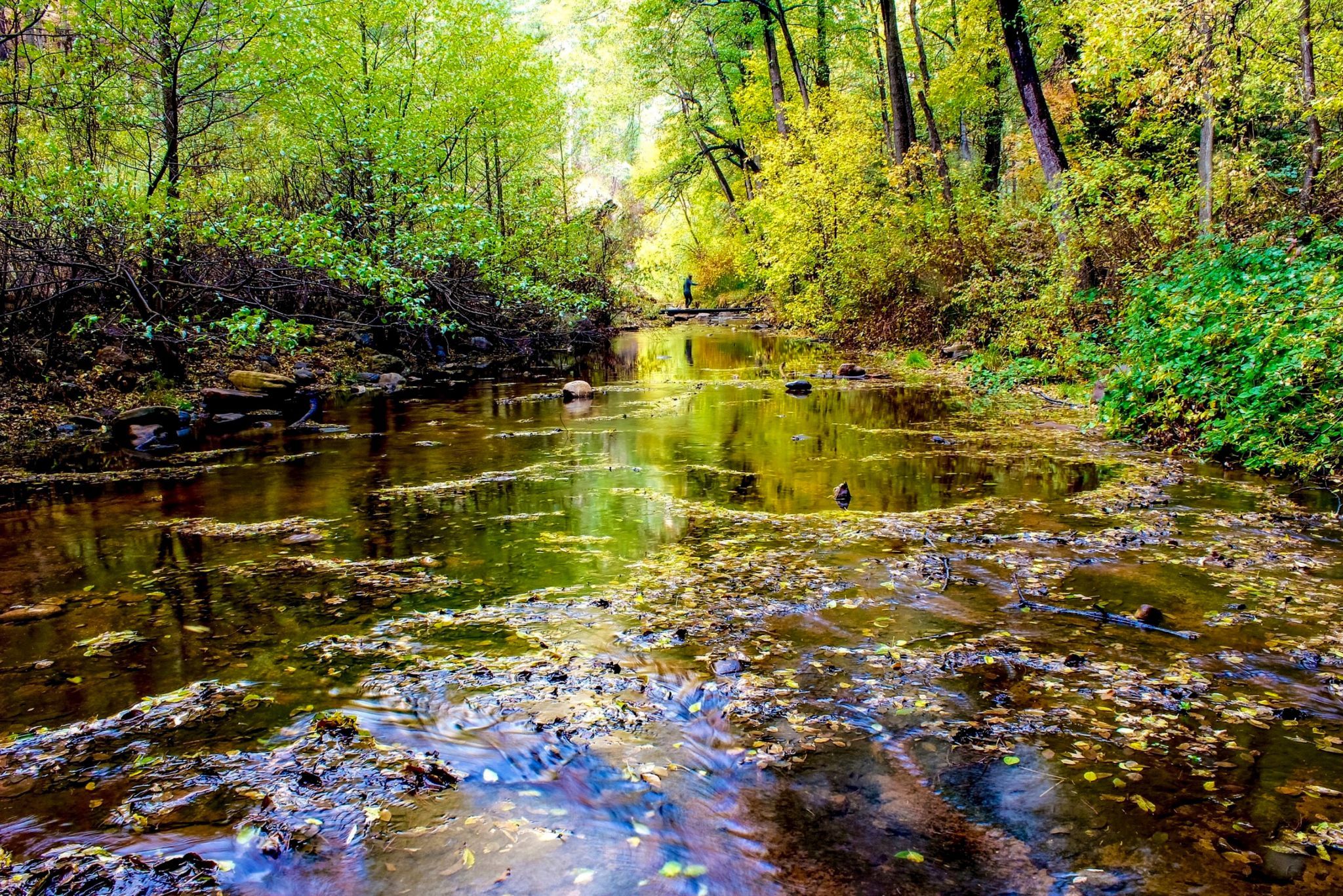 Oak Creek Canyon, USA