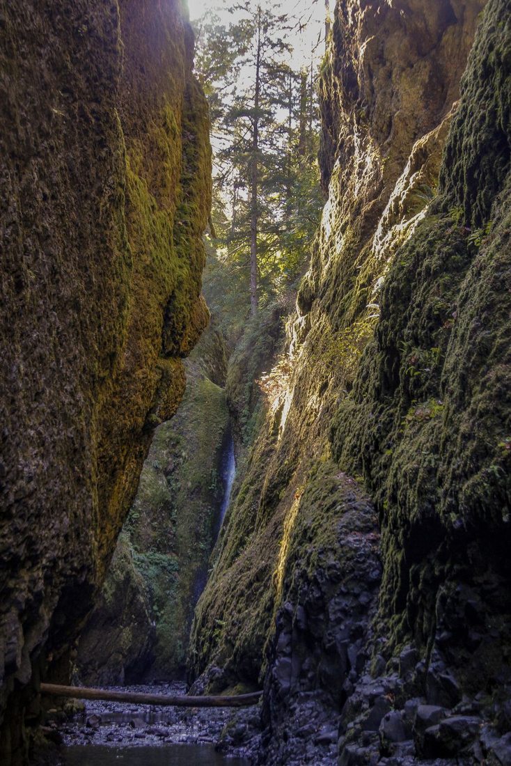 Oneonta Gorge, USA