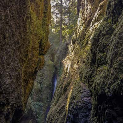 Oneonta Gorge, USA