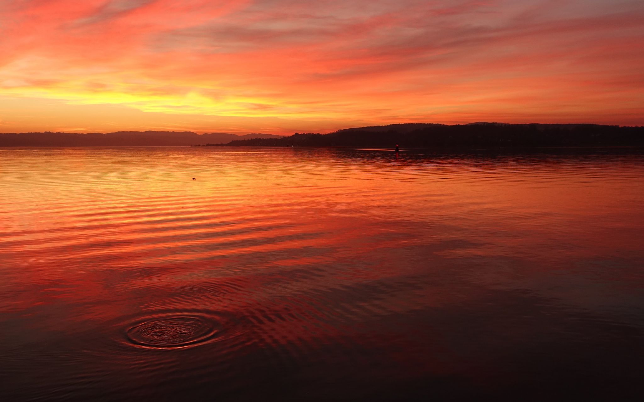 Rapperswil, port, Switzerland