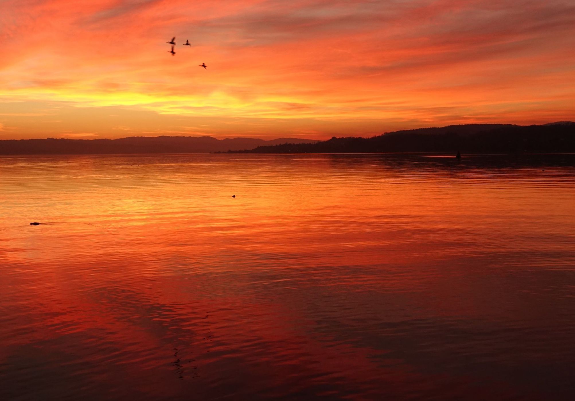 Rapperswil, port, Switzerland