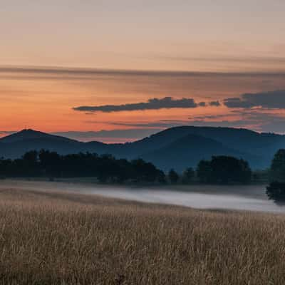 Rhine Valley, Bonn, Germany