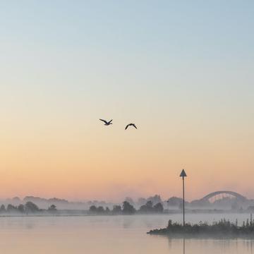 River Lek on a misty morning, Netherlands