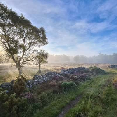 Rochaille Hill Plantation, United Kingdom