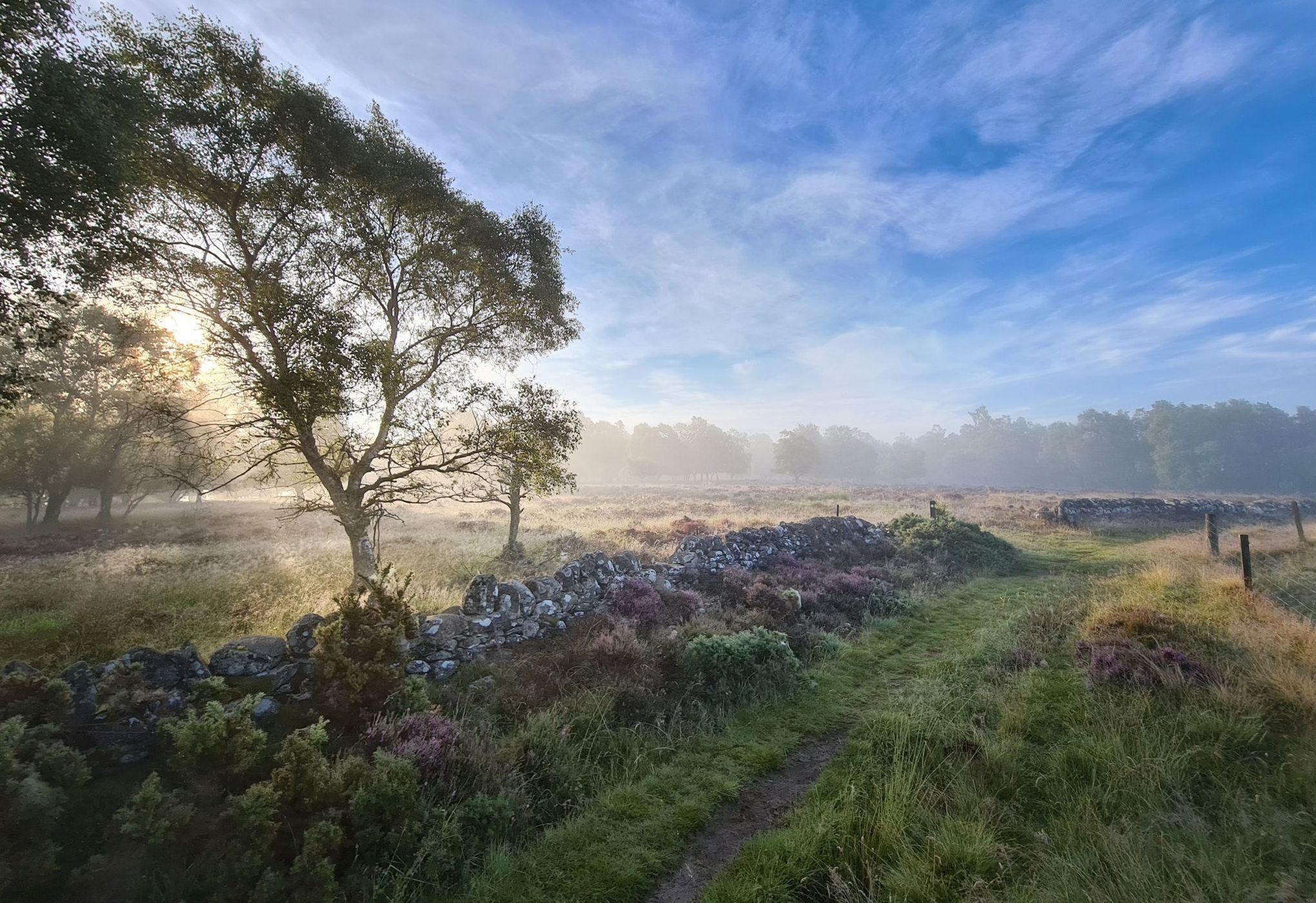 Rochaille Hill Plantation, United Kingdom