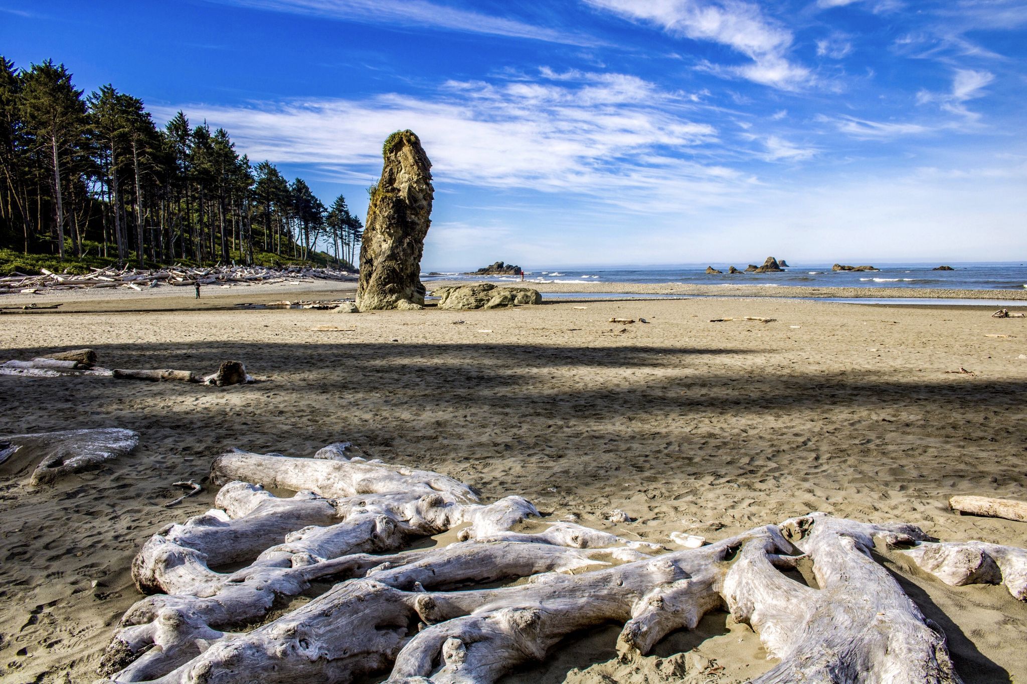 Ruby beach, USA