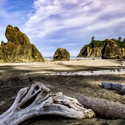 Ruby beach, USA