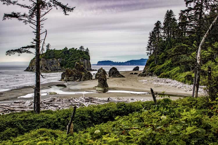 Ruby beach
