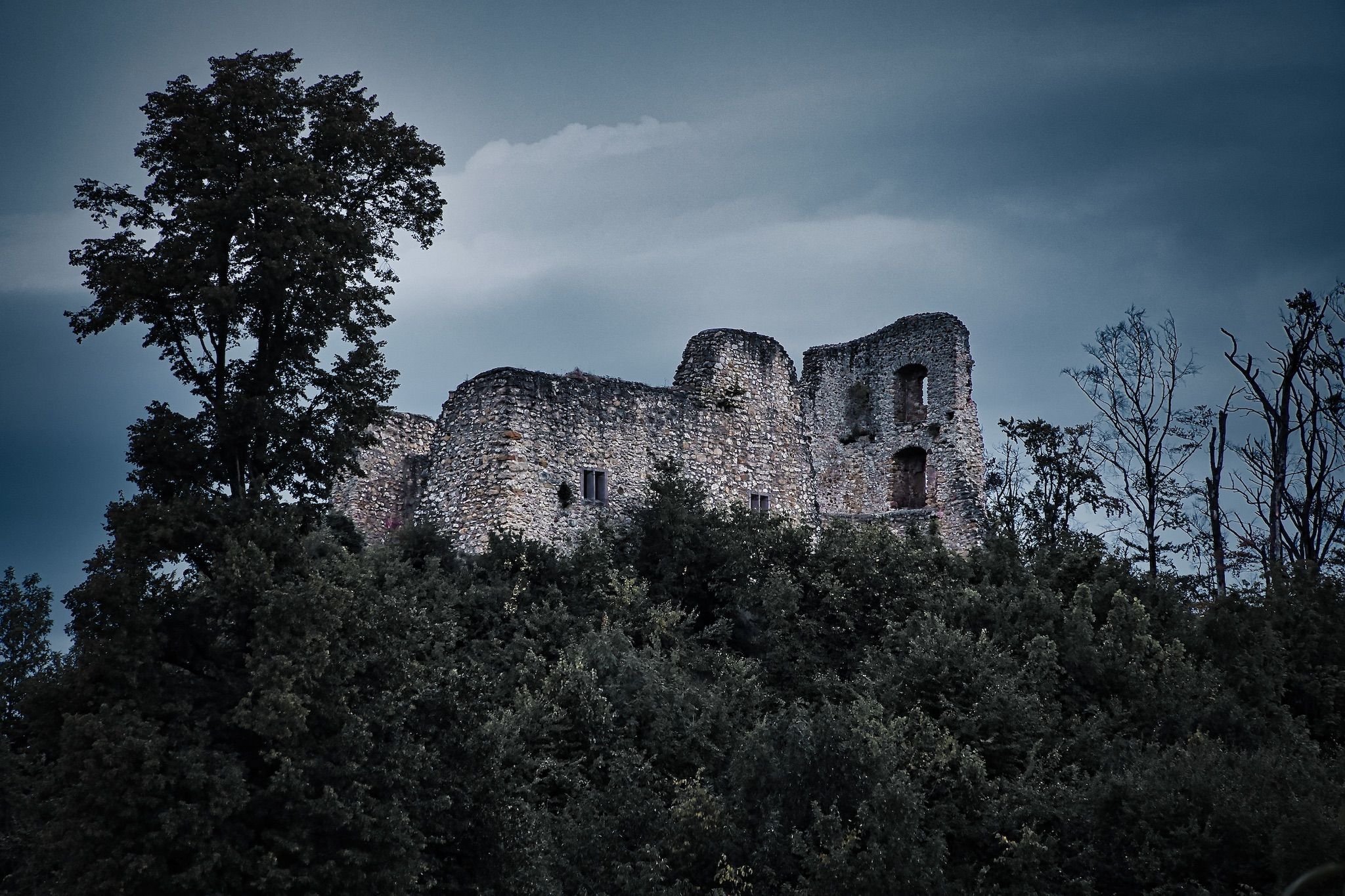 Ruine Schneeburg, Freiburg im Breisgau, Germany