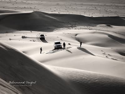 Sabha