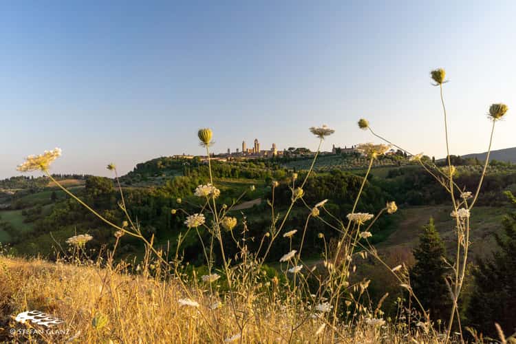 San Gimignano Sunset spot