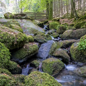 Silberbachtal