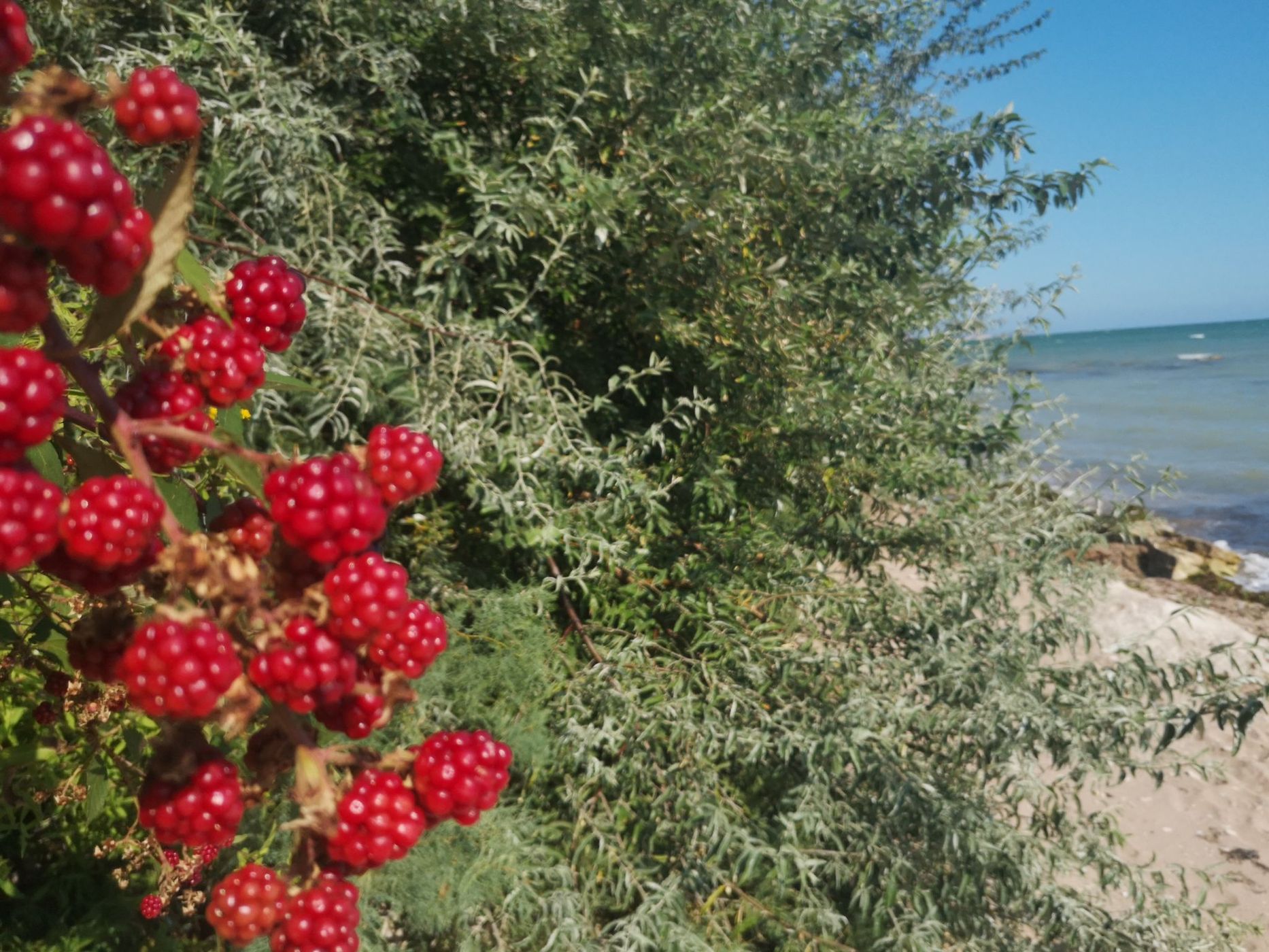 Silver Coast, Bulgaria