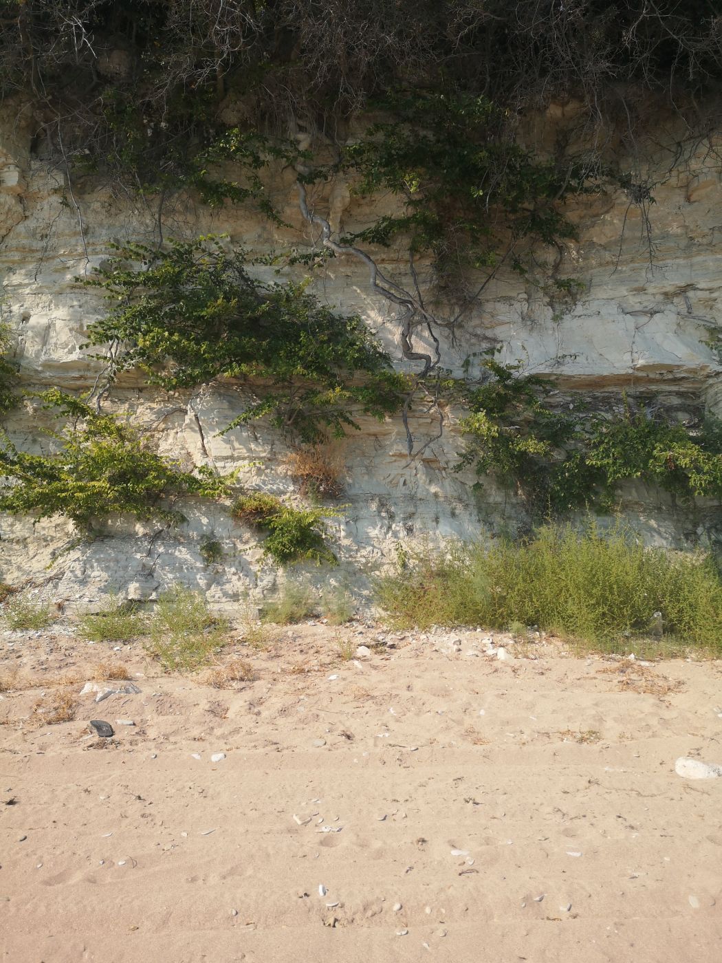 Silver Coast, Bulgaria