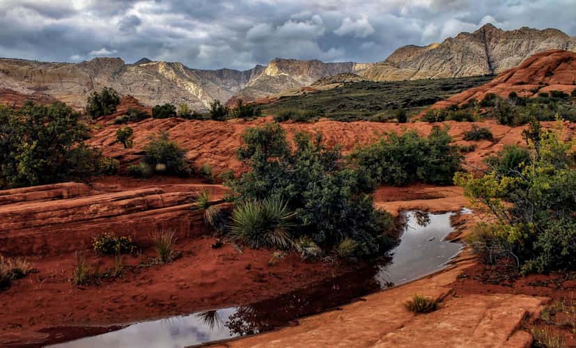 Snow Canyon