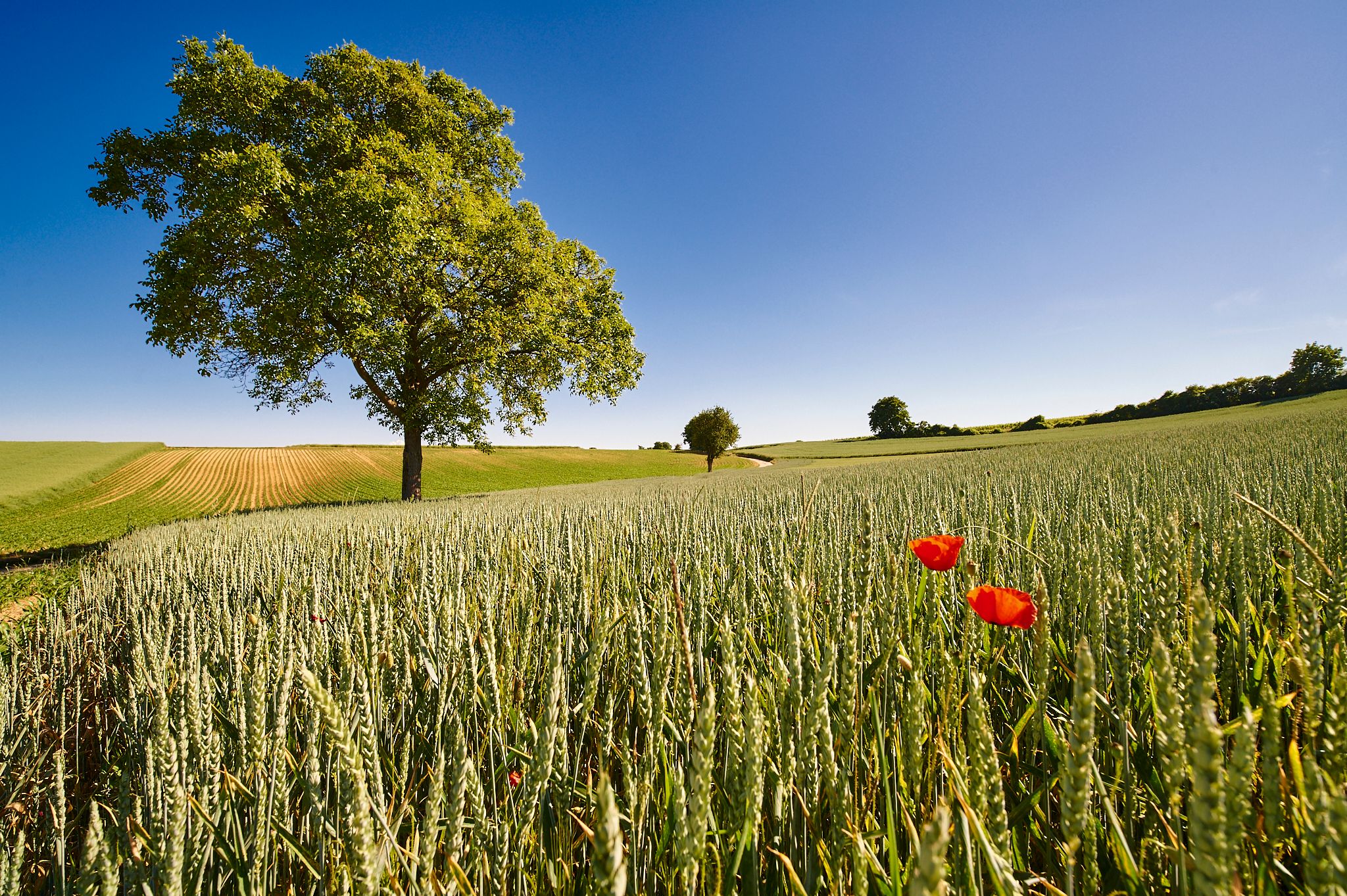 South Palatinate, Germany