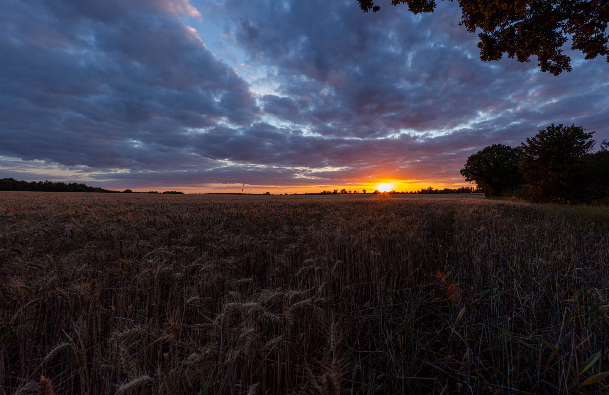 Sunset over Field, United Kingdom