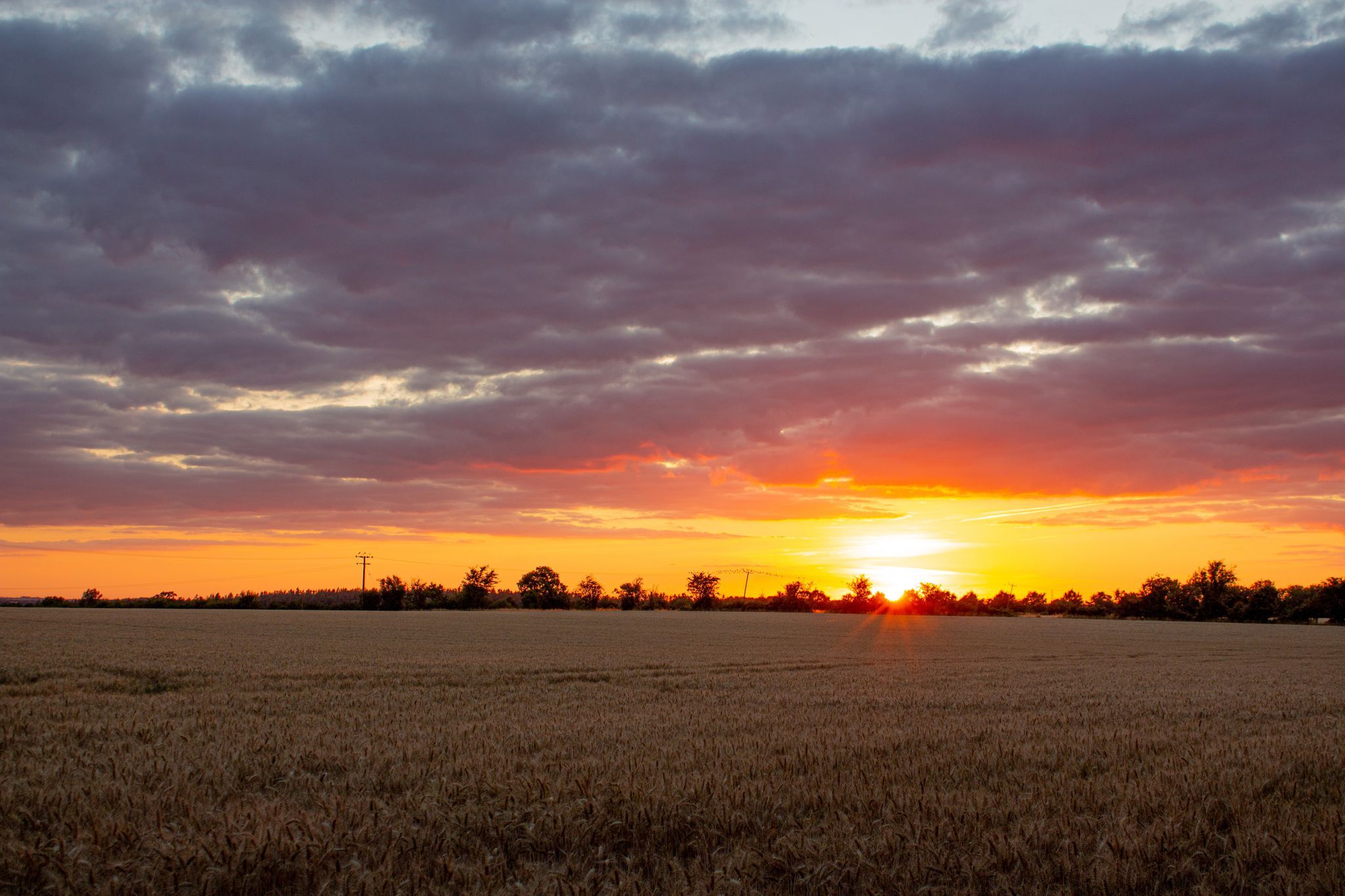 Sunset over Field, United Kingdom