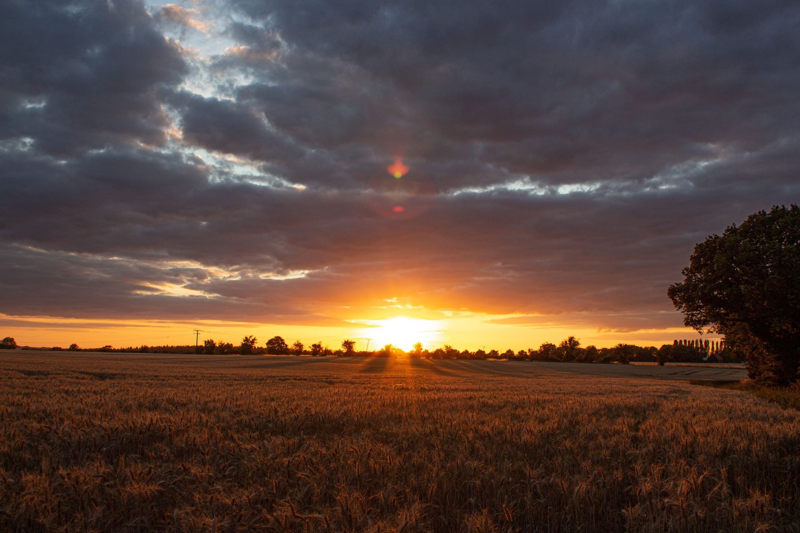 Sunset over Field, United Kingdom