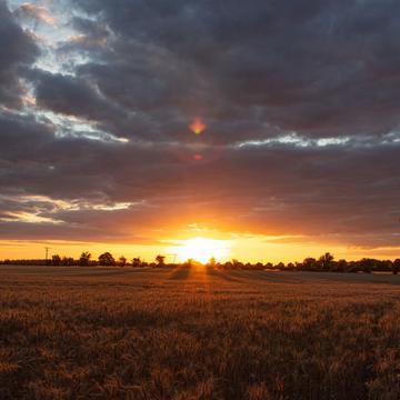Sunset over Field, United Kingdom