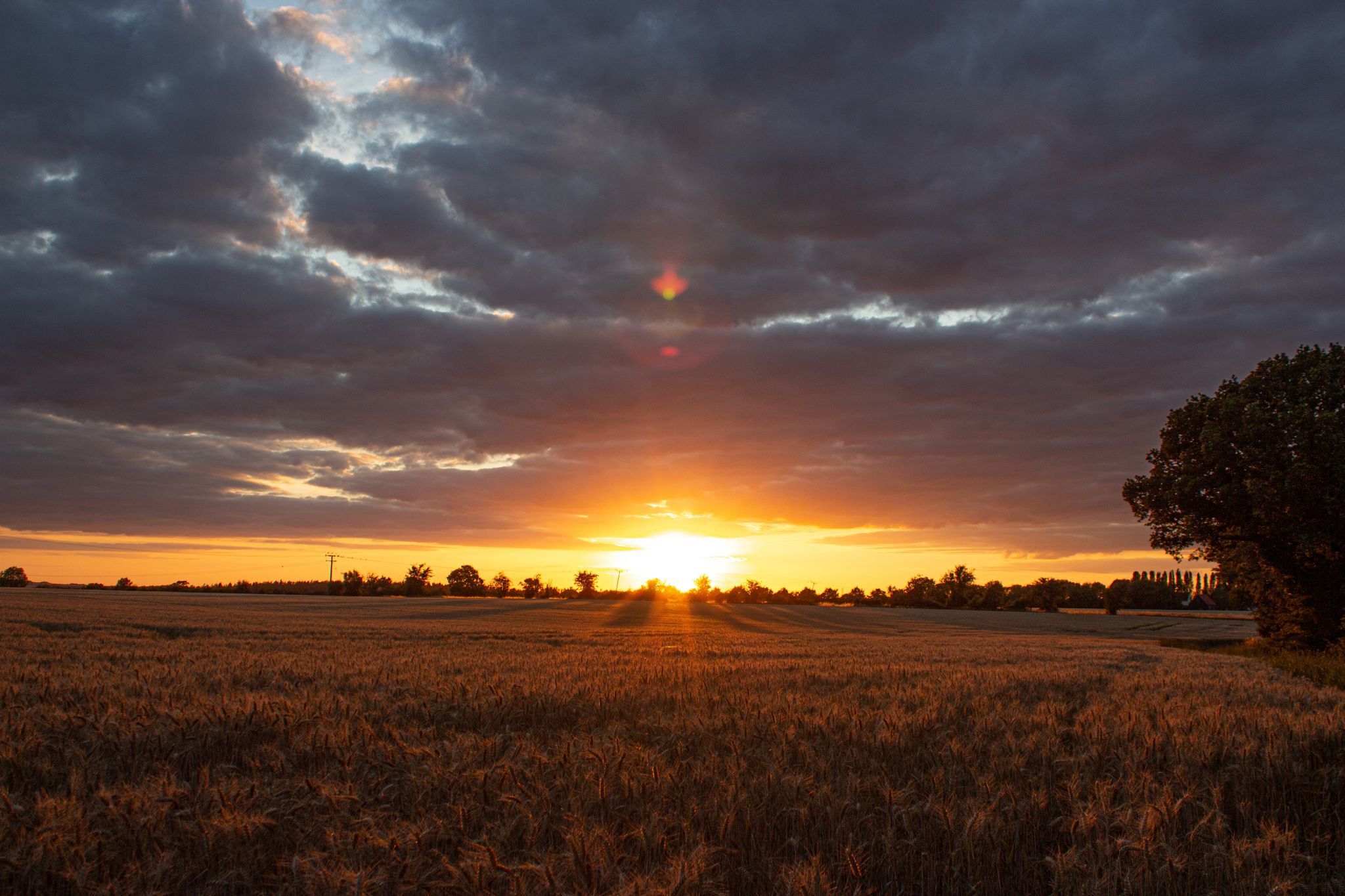 Sunset over Field, United Kingdom