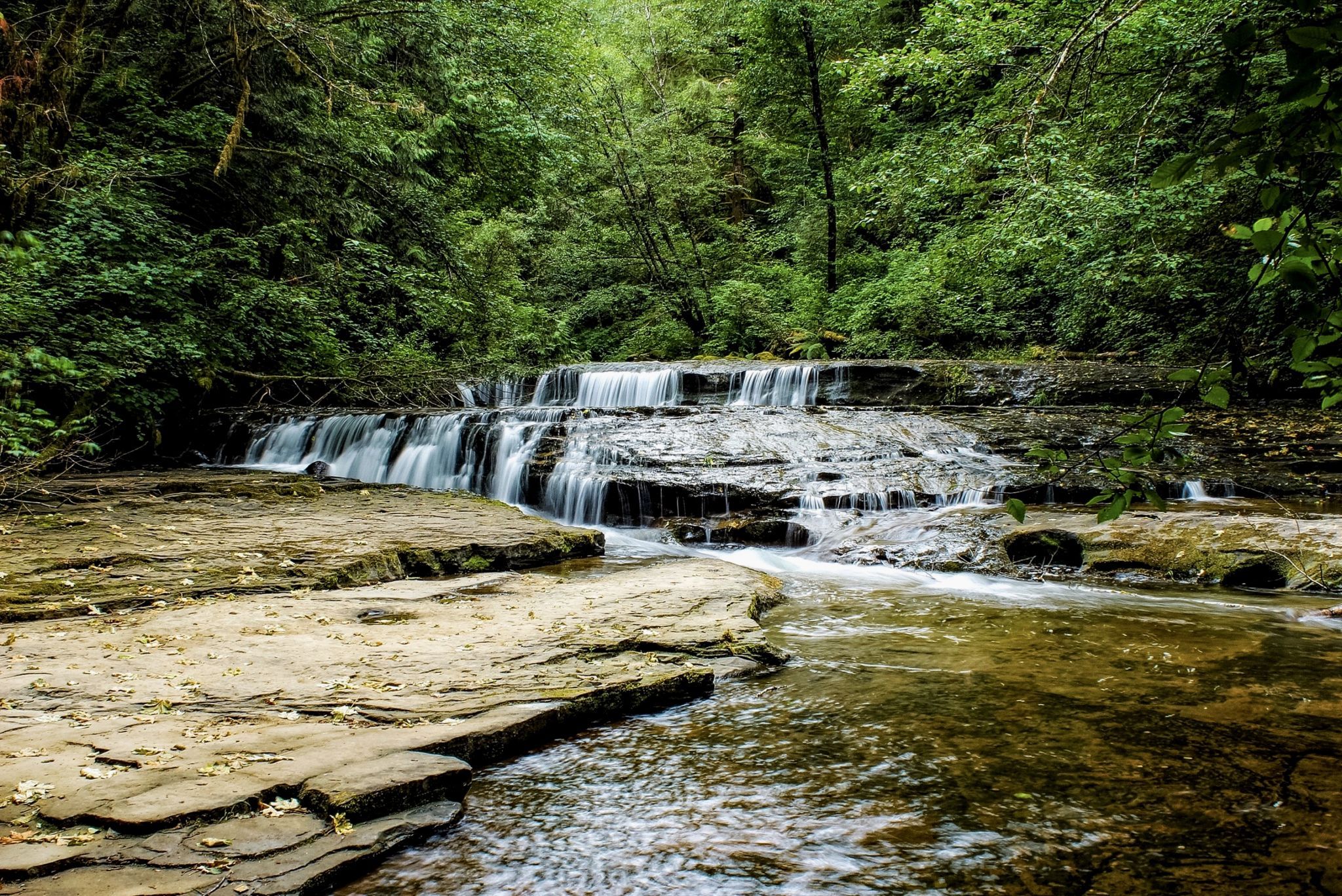 Sweet Creek, USA