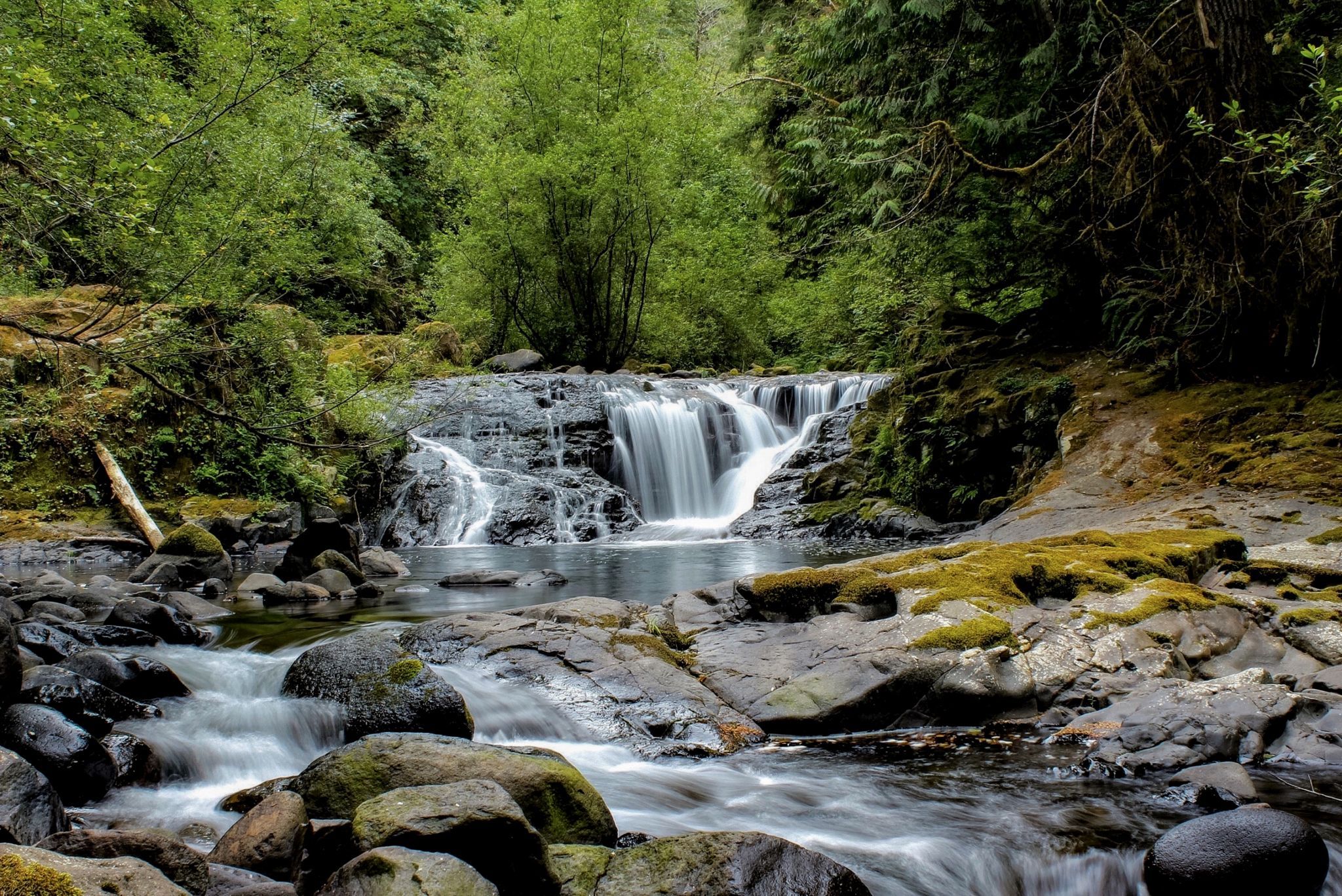 Sweet Creek, USA