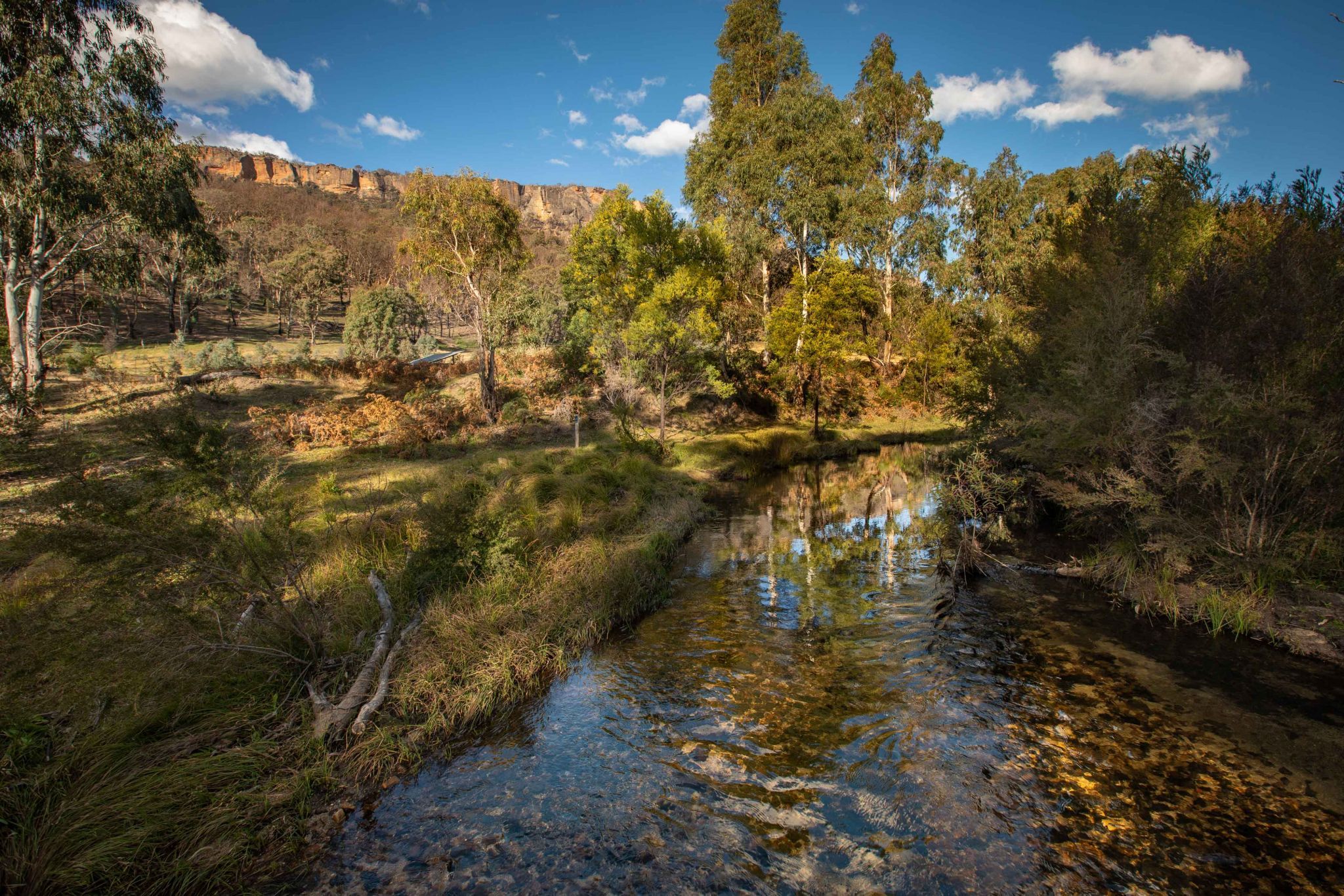 The Carne Creek reflection Wolgan Valley  NSW, Australia