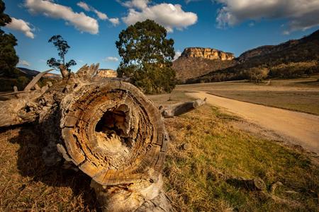 The log and the mountain Wolgan Valley NSW