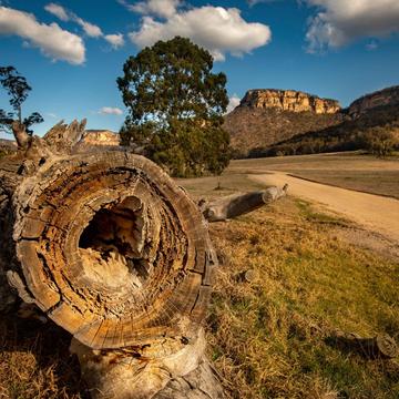 The log and the mountain Wolgan Valley NSW, Australia