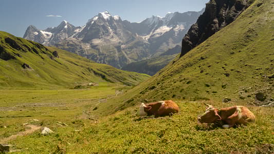 Tipical suisse landscape near Rotstockhütte