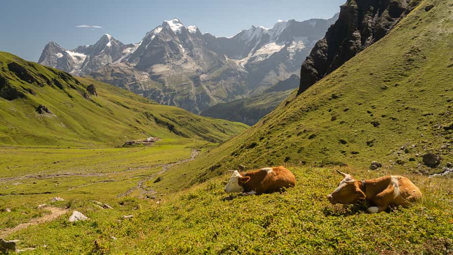 Tipical suisse landscape near Rotstockhütte