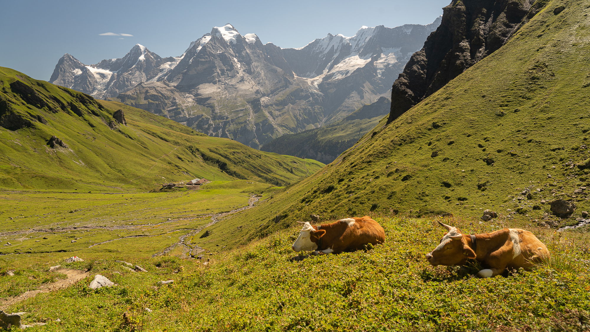 Tipical suisse landscape near Rotstockhütte, Switzerland