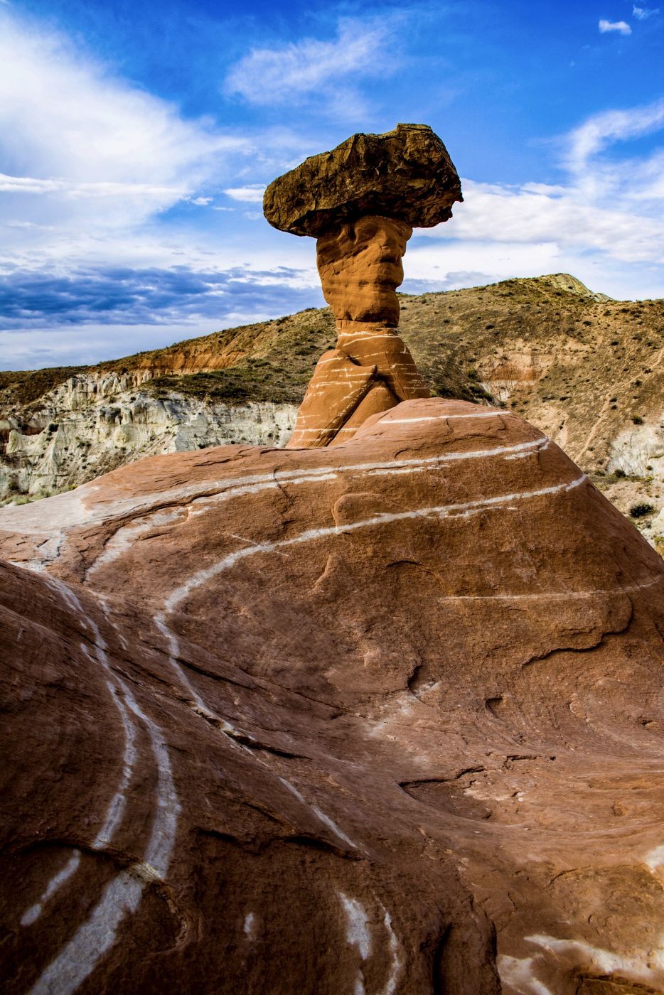 Toadstools, USA